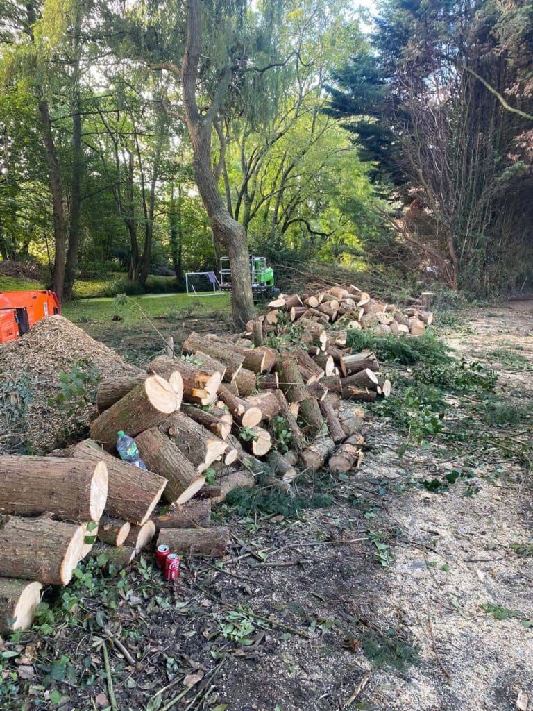 This is a photo of an overgrown large garden, which is in the process of having tree removal. The photo shows a stack of logs along the left hand side, from all the trees which are being removed. Photo taken by Ipswich Tree Surgeons.