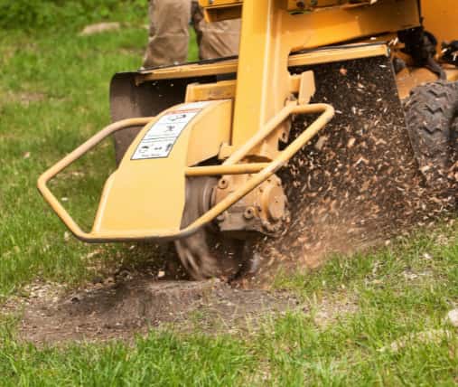 This is a photo of a stump grinding machine being used to remove a tree stump in a field. Photo taken by Ipswich Tree Surgeons.
