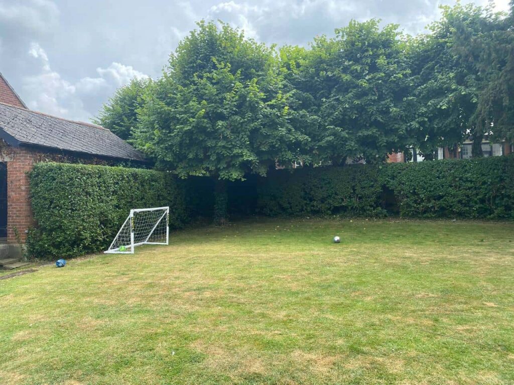 This is a photo of a hedge that has just been trimmed in a garden. The hedge is about 8 Metres long and runs along the back and left hand side of the garden iteslf. There are also trees in the background, and a house. Photo taken by Ipswich Tree Surgeons.